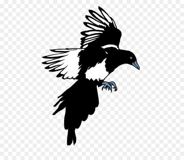 Сорока логотип