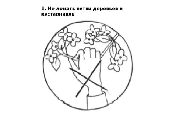 Береги природу для детей