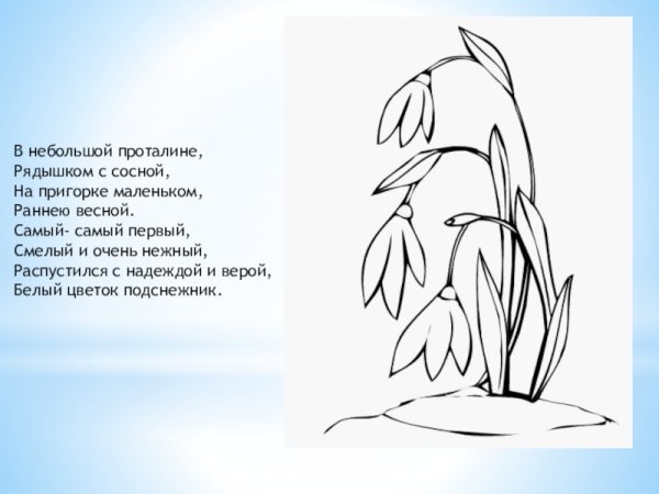 Раскраска для детей не разоряй птичьи гнезда