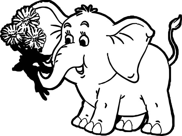 Слон черно белый