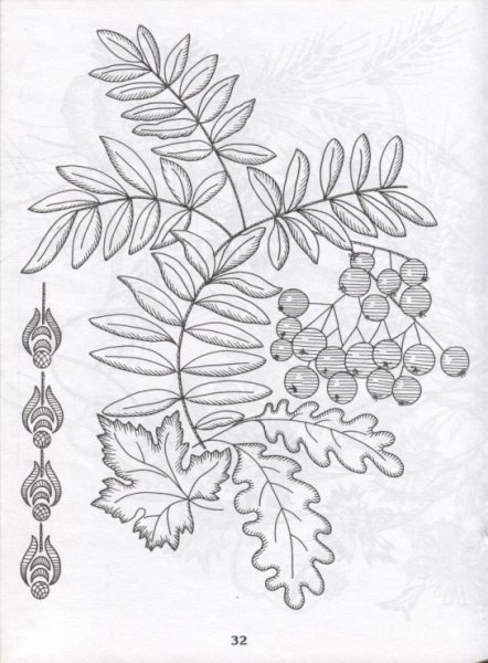Рябина эскиз