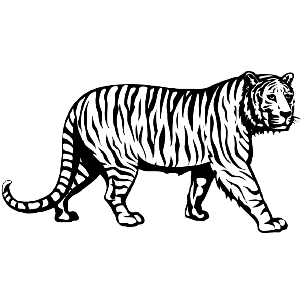 Амурский тигр распечатка