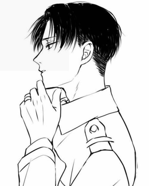 Леви Аккерман чернобулый