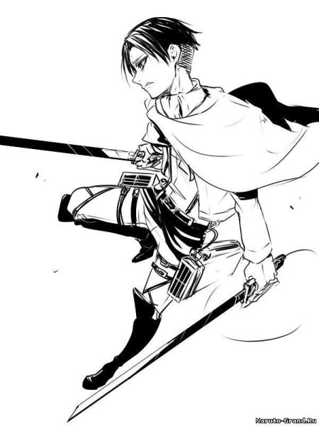 Атака титанов Леви черно белый