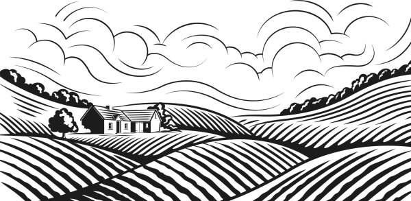 Пейзаж из линий