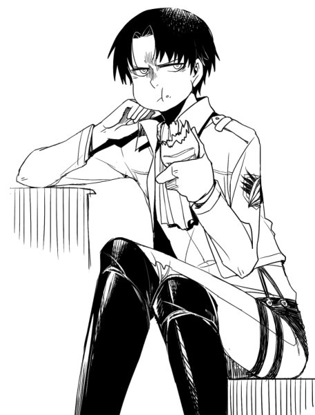 Леви Аккерман чернобулый