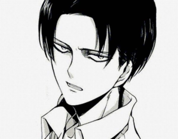 Капрал Леви