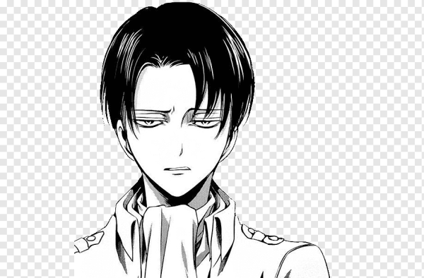 Эрен Йегер черно белый