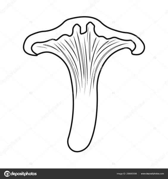 Лисичка гриб контур