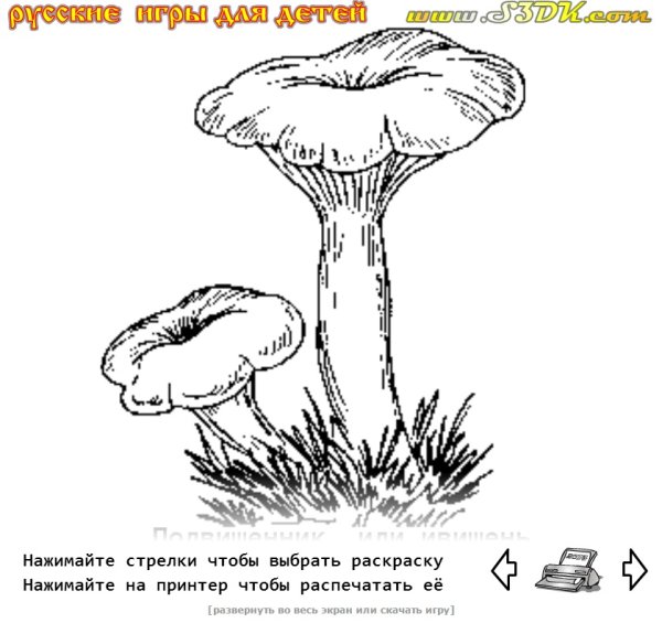 Ложная Лисичка рисунок