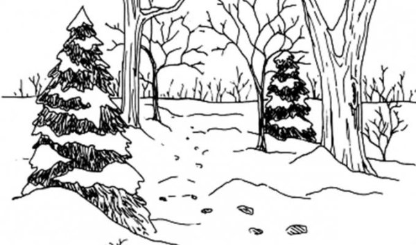 Зимний лес раскраска