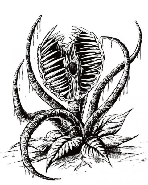 Венерина мухоловка