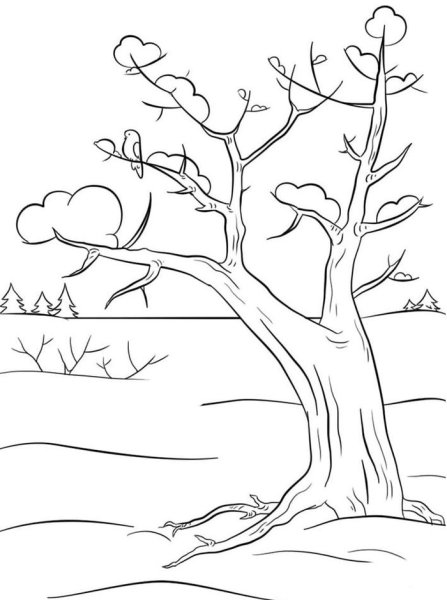 Зимнее дерево раскраска