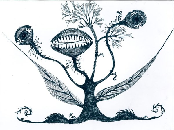 Венерина мухоловка