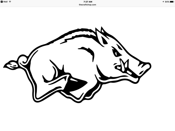 Дикий кабан черно-белая