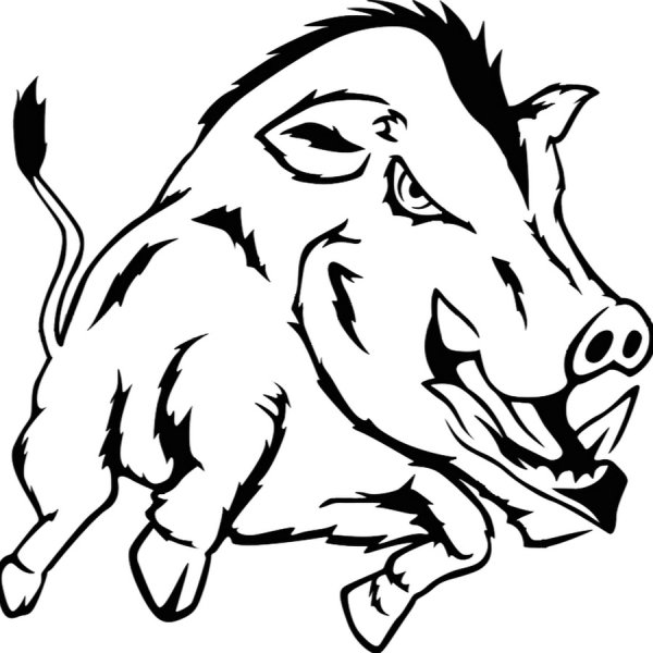 Кабан контур