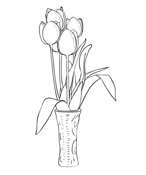 Тюльпаны в вазе контур