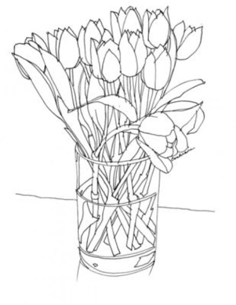 Букет тюльпанов рисунок карандашом
