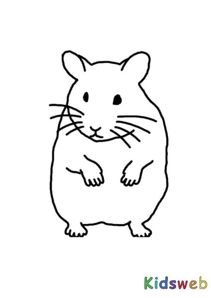 Раскраска хомячок