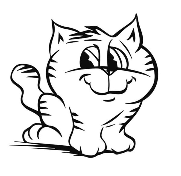 Раскраска кот