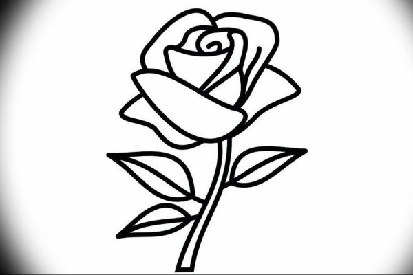 Роза черный контур