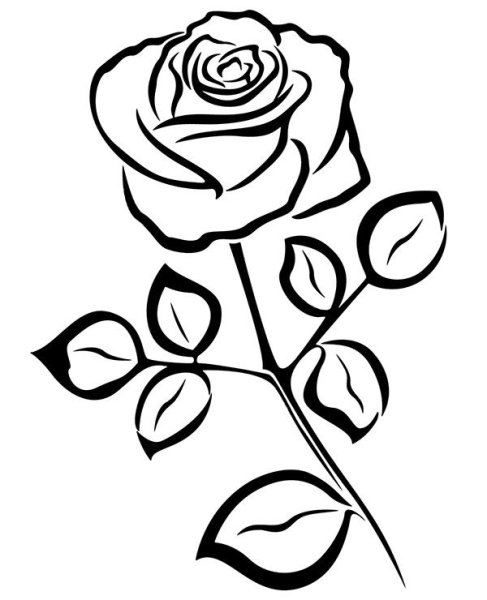 Роза раскраска для детей