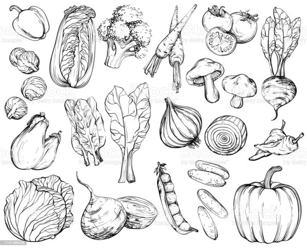 Фрукты схематично