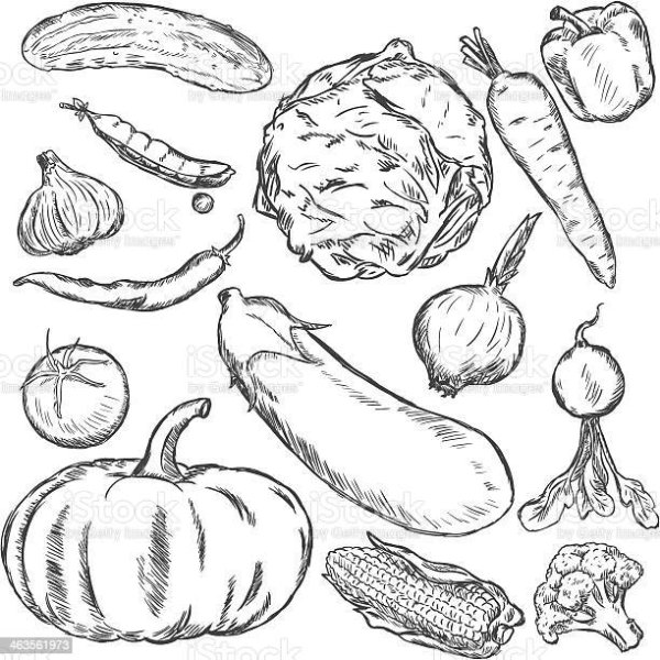 Трафареты овощей для вырезания