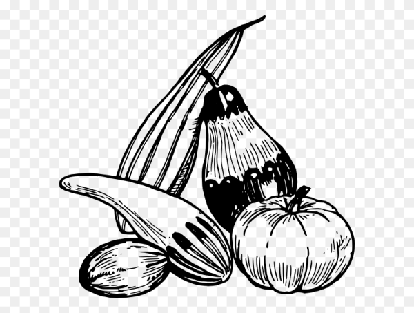 Фрукты. Раскраска