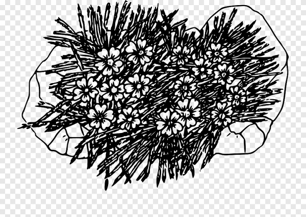 Нарисовать мох