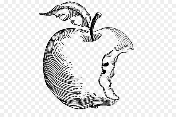 Откусанное яблоко