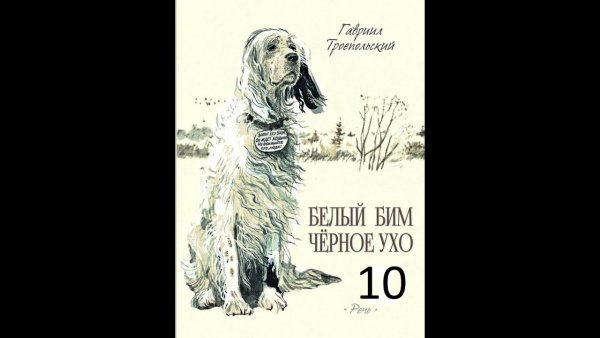 Обложка книги белый Бим черное ухо