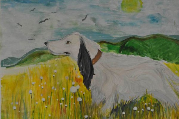 Иллюстрации к произведению белый Бим черное ухо