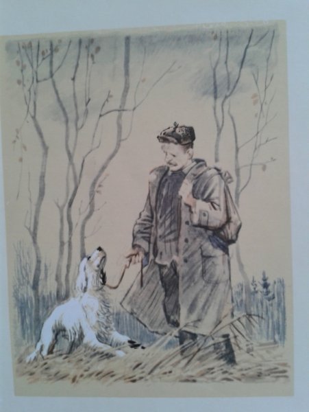 Троепольский белый Бим черное ухо иллюстрации