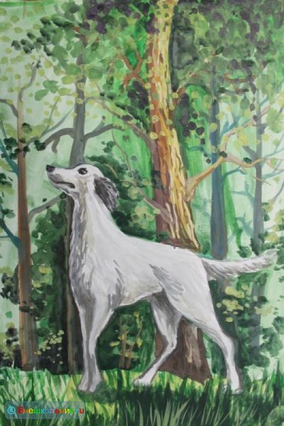 Рисунок белого Бима черного уха