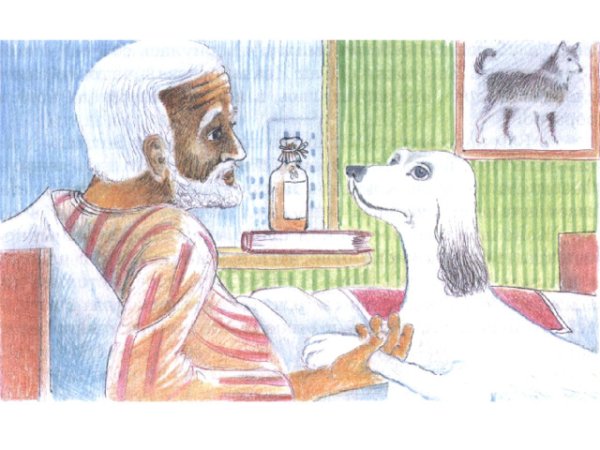 Иллюстрации к книге Троепольского белый Бим