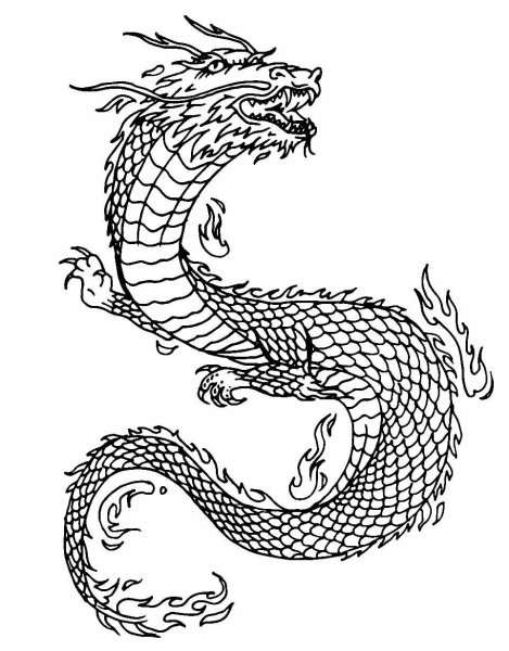 Китайский водяной дракон эскиз