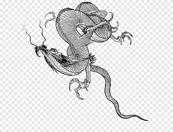 Змея и дракон эскиз