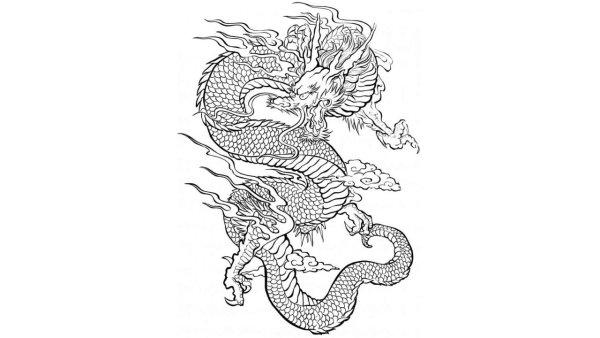 Тату дракона на белом фоне