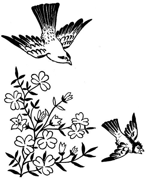 Рисунки для выжигания по дереву птицы