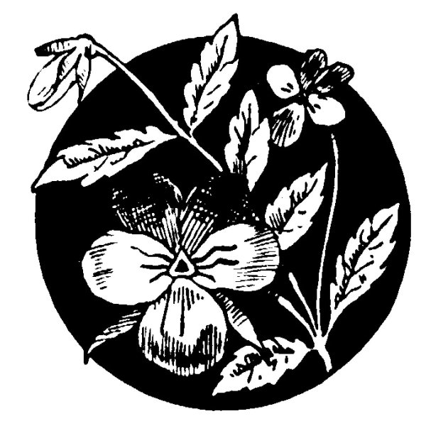 Эскизы для выжигания