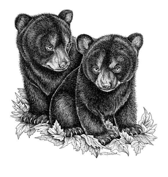 Раскраска Медведица с медвежатами