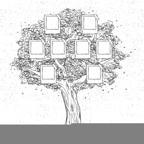 Генеалогическое дерево для раскрашивания