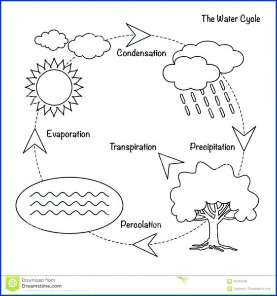 Схема для раскрашивания круговорот воды для дошкольников