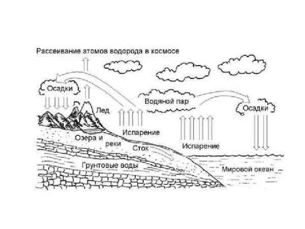 Круговорот водорода в природе схема