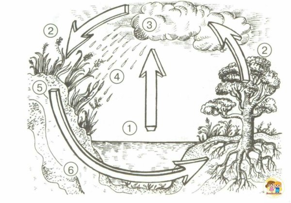 Раскраска круговорот воды в природе для детей
