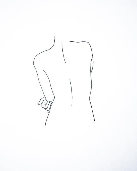 Спина контур