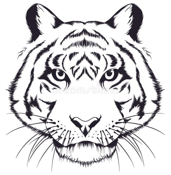 Тигр голова Графика