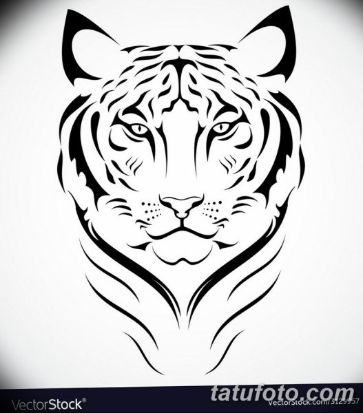 Тигр черно белый набросок