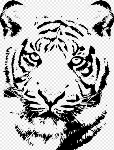 Векторное изображение тигра